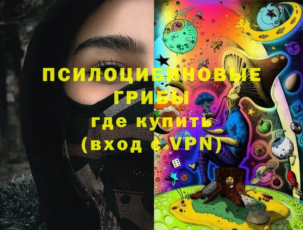 ПСИЛОЦИБИНОВЫЕ ГРИБЫ Алзамай