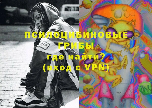 ПСИЛОЦИБИНОВЫЕ ГРИБЫ Алзамай