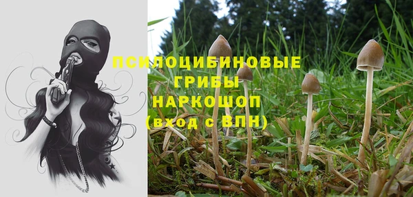 соль курить ск Алексин