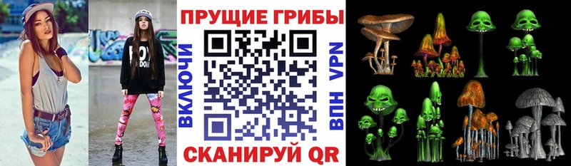 сайты даркнета клад  Павловская  Псилоцибиновые грибы MAGIC MUSHROOMS 